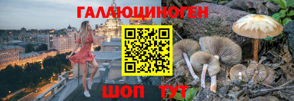 где купить наркоту  Вход с VPN  Галлюциногенные грибы мицелий  Димитровград  Галлюциногенные грибы мицелий 